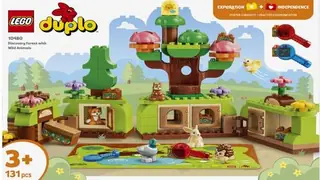 LEGO DUPLO 10480 Discovery Forest with Wild Animals building instructions
