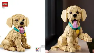 LEGO Icons 11384 Golden Retriever Puppy building instructions