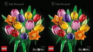 LEGO Botanicals 11501 Tulip Bouquet building instructions