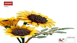 LEGO Botanicals 11502 Sunflower Bouquet building instructions