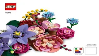 LEGO Botanicals 11503 Flower Wall building instructions