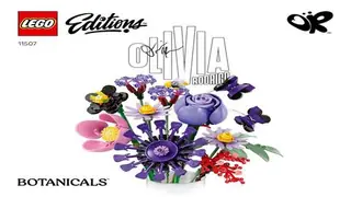LEGO Botanicals 11507 Olivia Rodrigo's Flower Bouquet building instructions