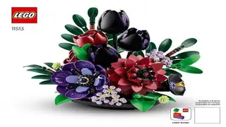 LEGO Botanicals 11513 Dark Flower Arrangement building instructions