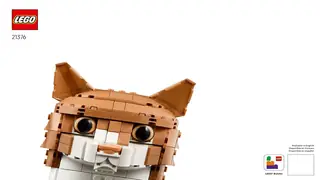 LEGO Ideas 21376 Orange Cat building instructions