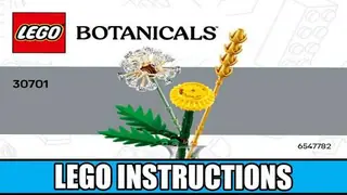 LEGO Botanicals 30701 Field Flowers building instructions