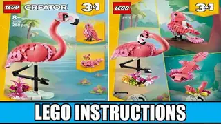 LEGO Creator 31170 Pink Flamingo building instructions