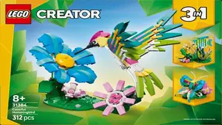 LEGO Creator 31384 Colourful Hummingbird building instructions