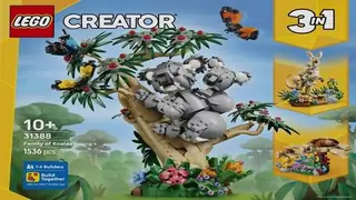 LEGO Creator 31388 Wild Animals: Family of Koalas building instructions