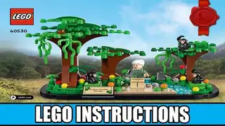 LEGO Promotional 40530 Jane Goodall Tribute building instructions