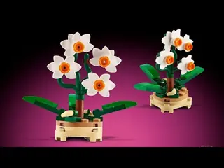 LEGO Promotional 5009229 Micro Orchid building instructions