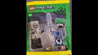 LEGO Minecraft 662511 Hero with Husk building instructions