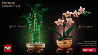 LEGO Botanicals 66809 Evergreen Collector's Set building instructions