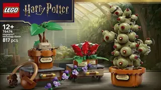 LEGO Harry Potter 76474 Hogwarts Herbology Plants building instructions